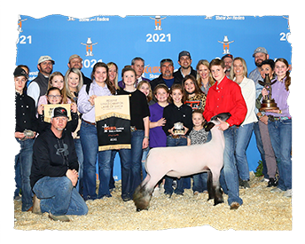 Franklin Show Lambs Winners
